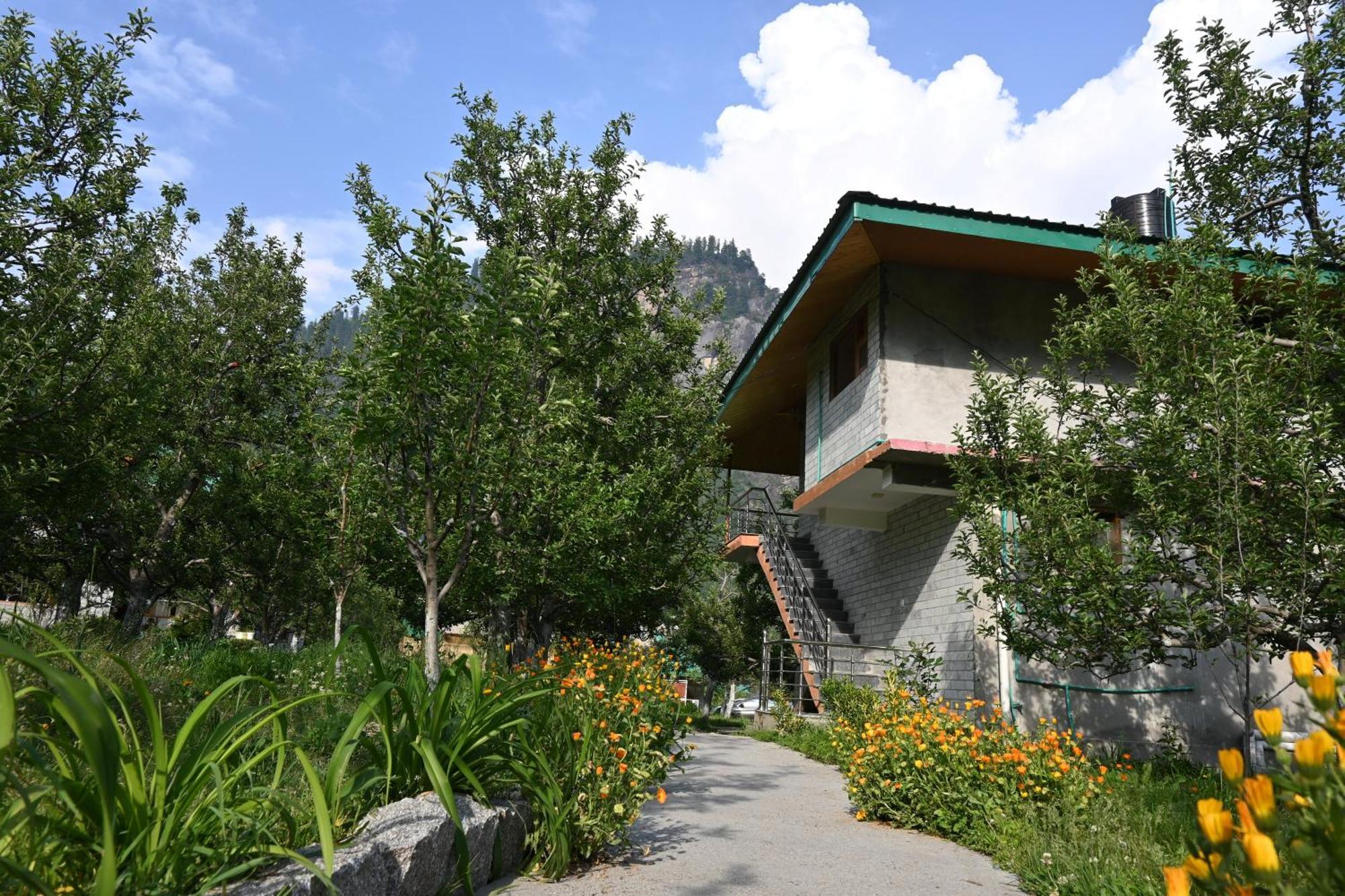 Cascade Mountain Retreat Manali Bed & Breakfast Exterior photo