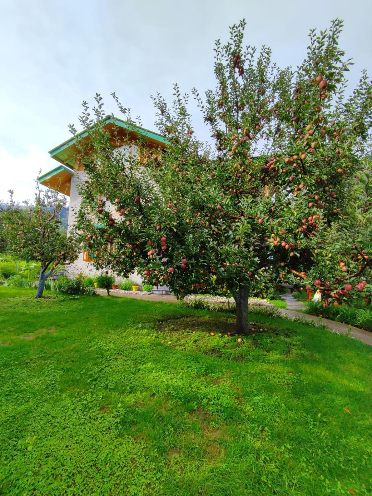 Cascade Mountain Retreat Manali Bed & Breakfast Exterior photo