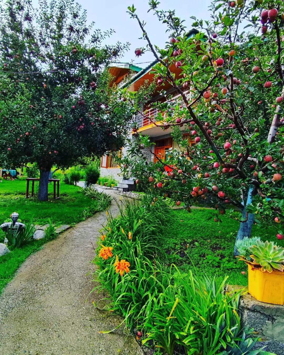 Cascade Mountain Retreat Manali Bed & Breakfast Exterior photo